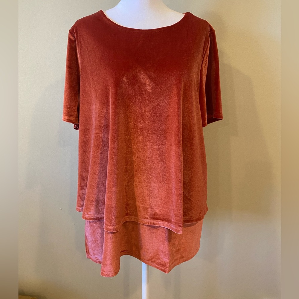 DG2 By Diane Gilman Velvet Blouse Size XL, XS NWT